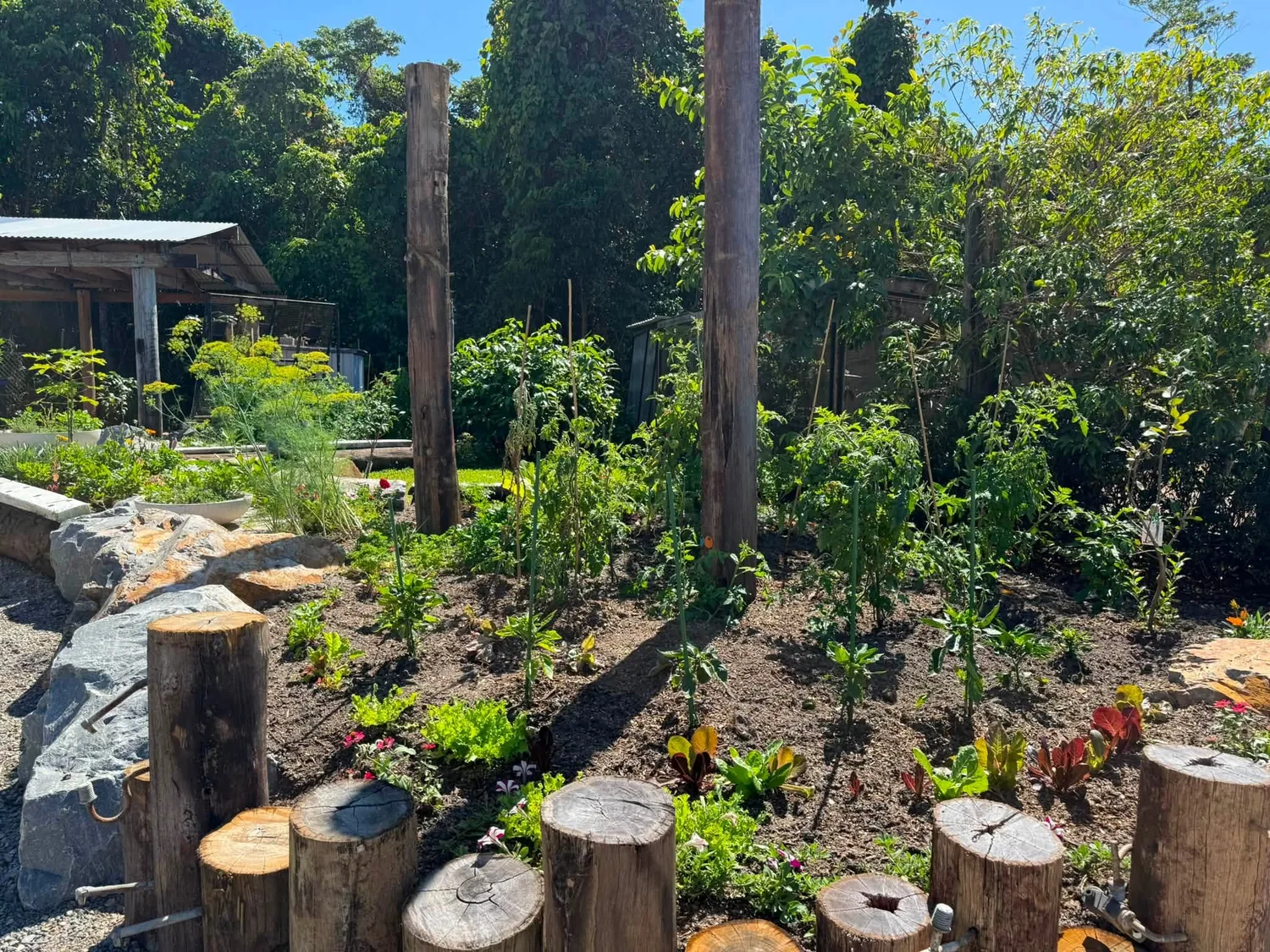 Lush garden beds, plants and feature rocks at GLOWS Mission Beach
